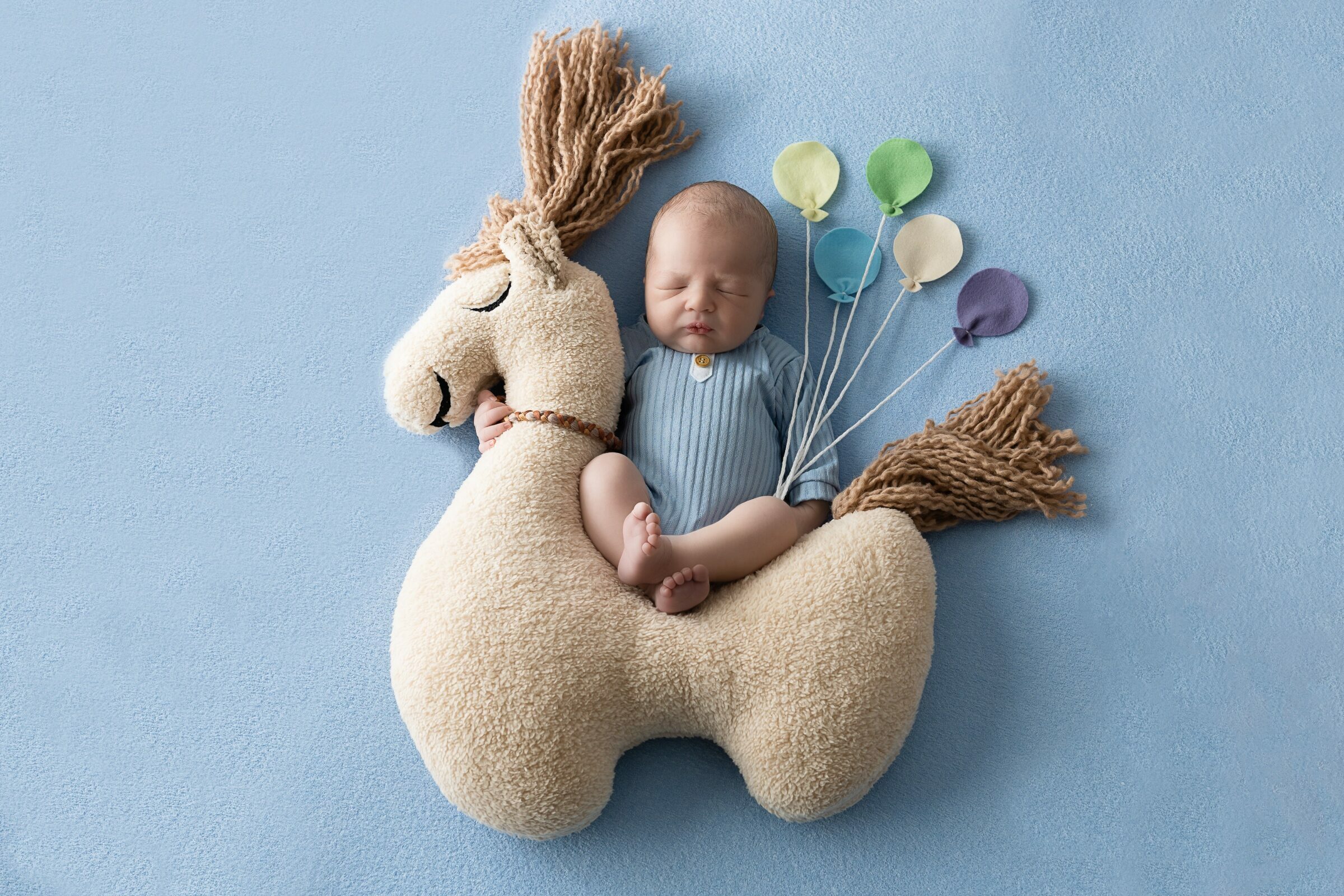 Foto de Fotografo di Gravidanza, Newborn, Bambini e Famiglia -  Fernanda Andreasi Photography, Mantova - MN 1 Foto de Fotografo di Gravidanza, Newborn, Bambini e Famiglia -  Fernanda Andreasi Photography, Mantova - MN 1